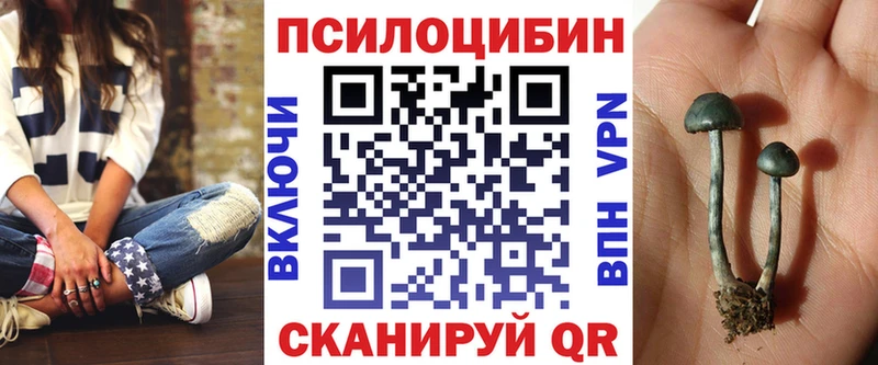 Псилоцибиновые грибы GOLDEN TEACHER  Купить где  Туран 